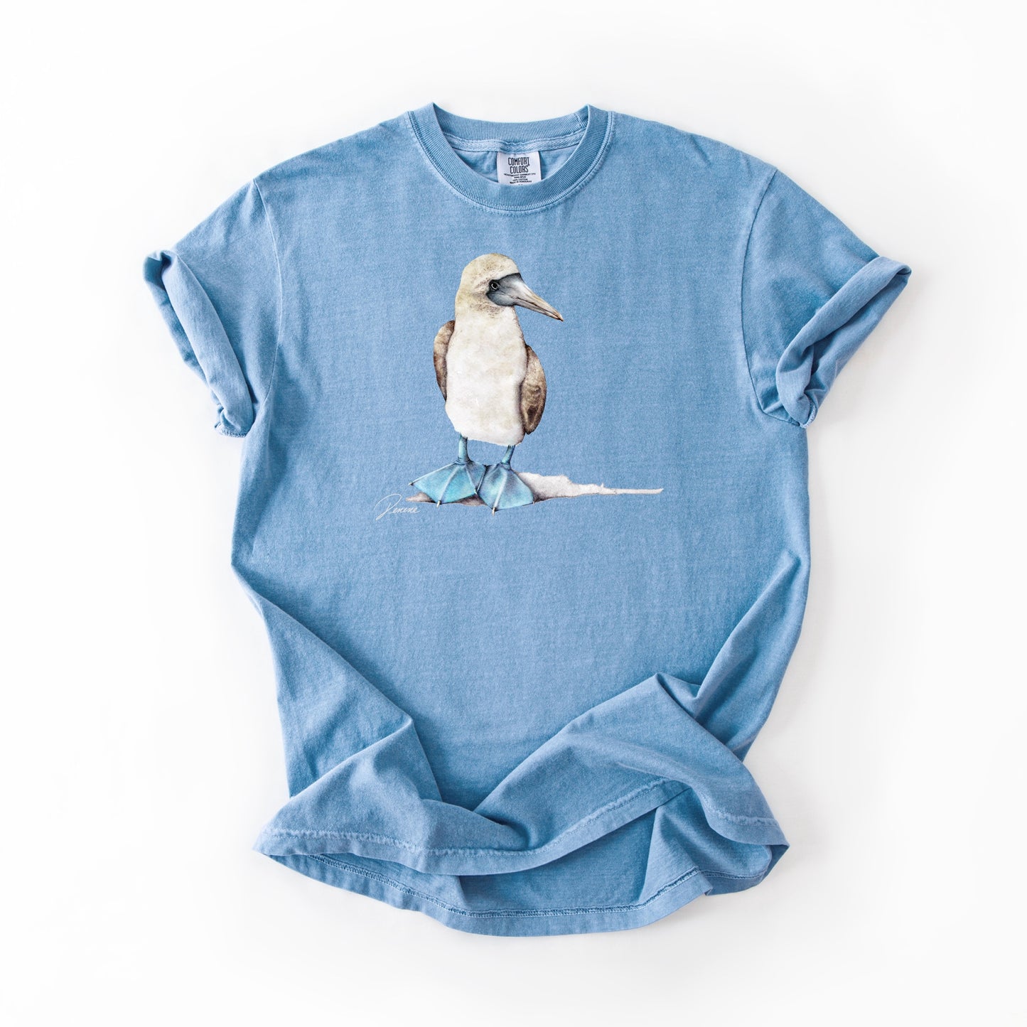 Blue-footed Booby (CC)