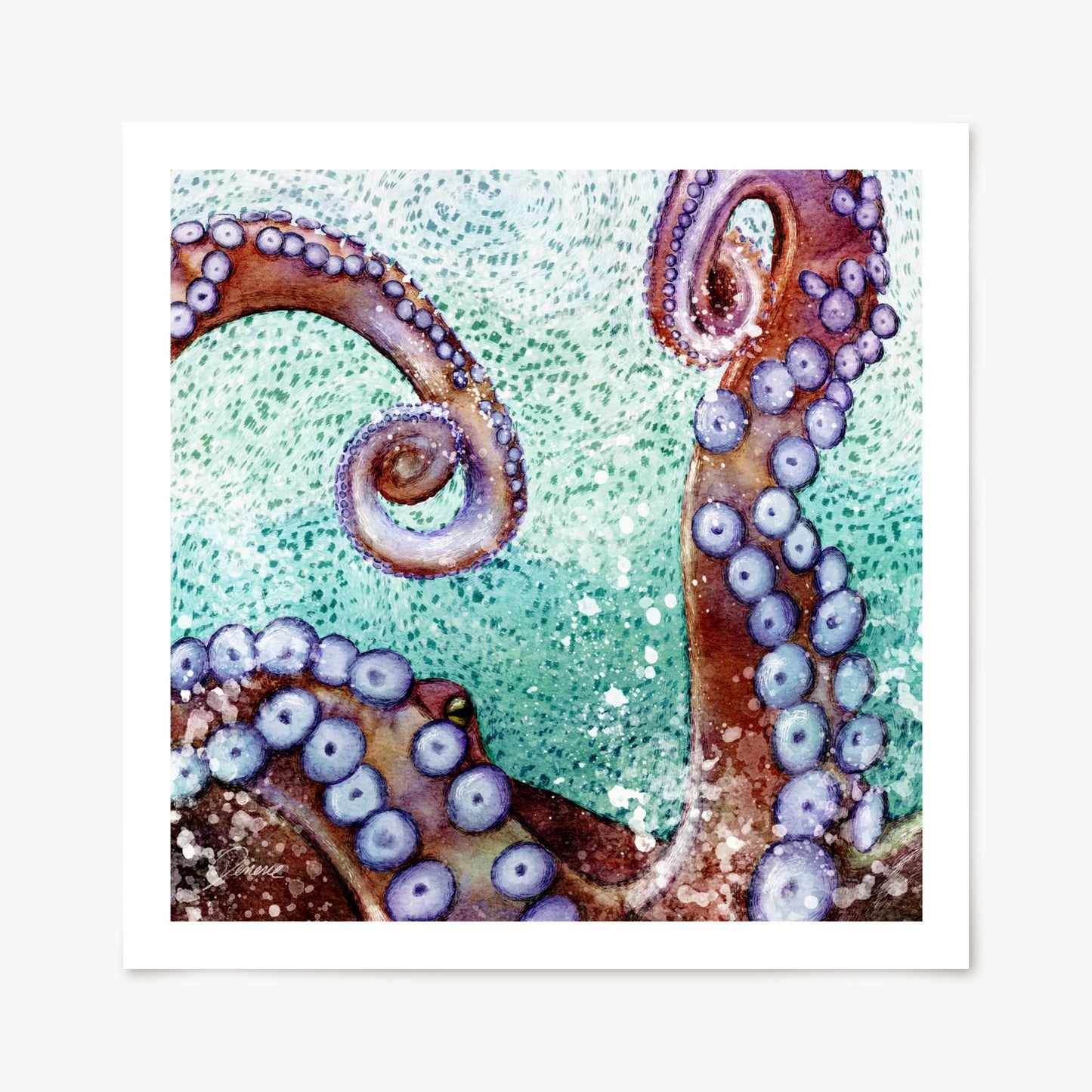Mosaic Waves, Octopus
