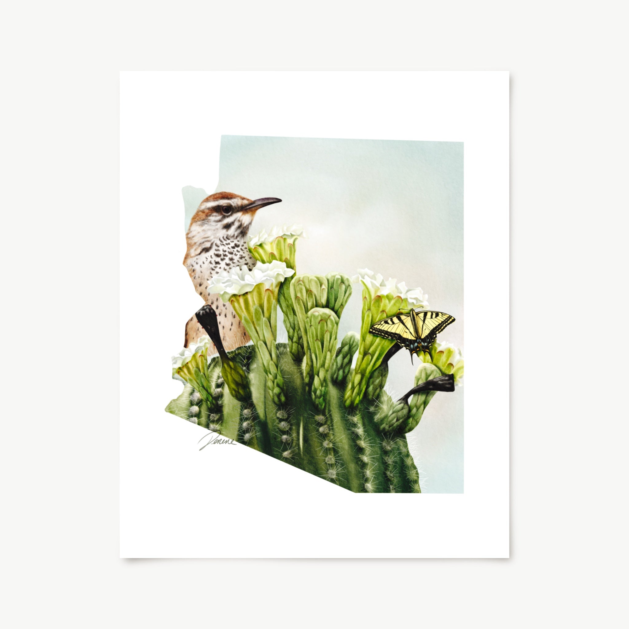 Art print. Bird perched on a cactus with a butterfly nearby, in the silhouette of the state of Arizona. 
