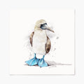 Art print of a blue-footed booby bird on a white background