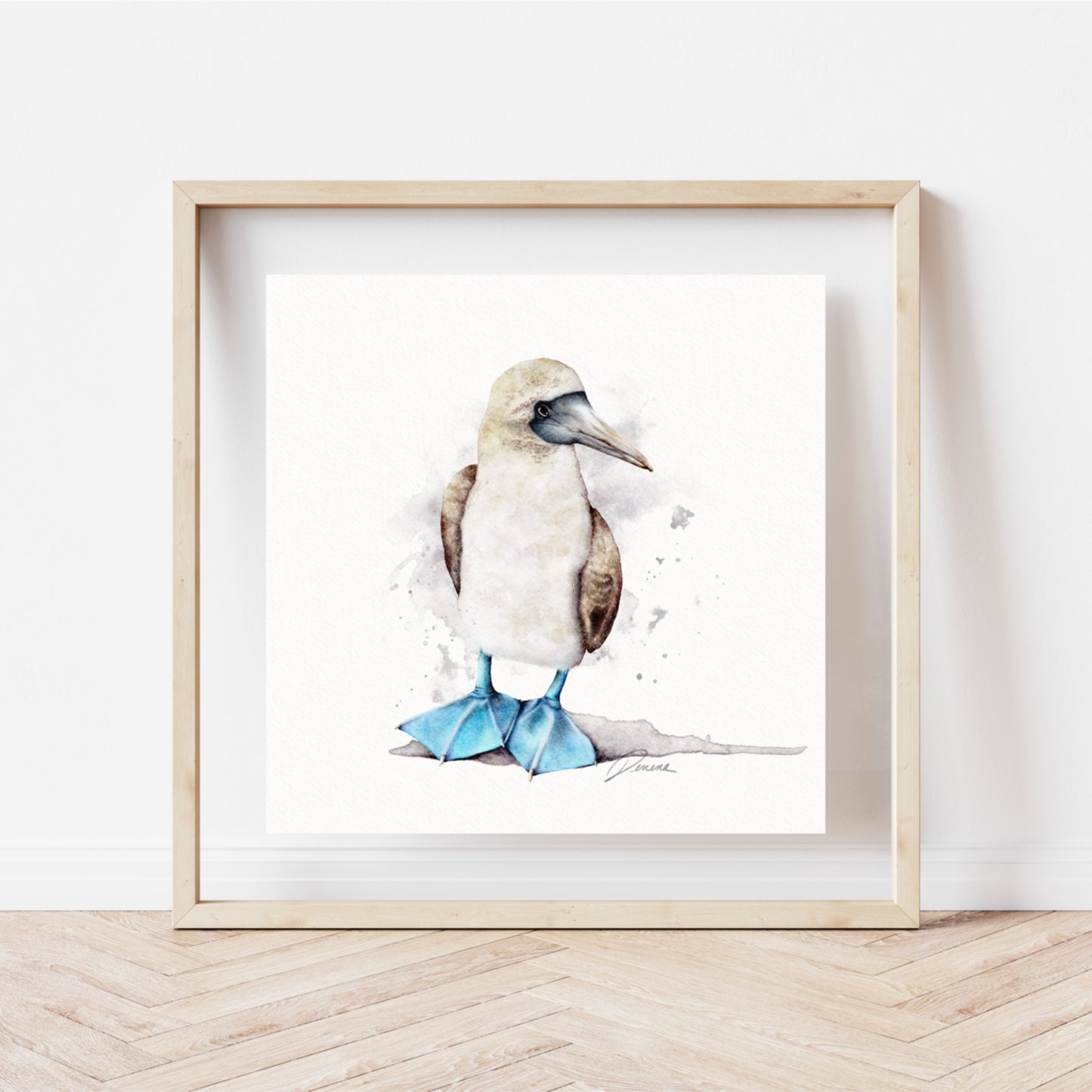 Blue-footed Booby