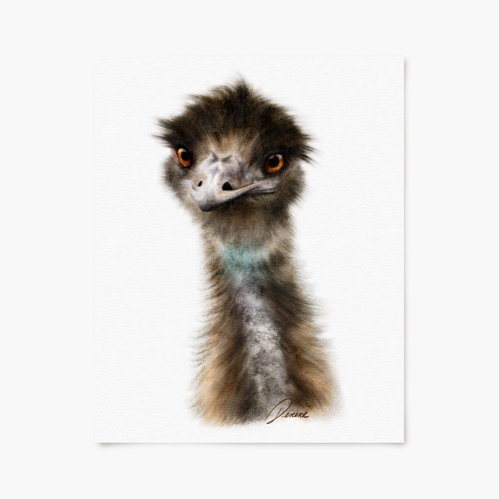 Emu portrait on a white background art print