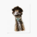 Emu portrait on a white background art print