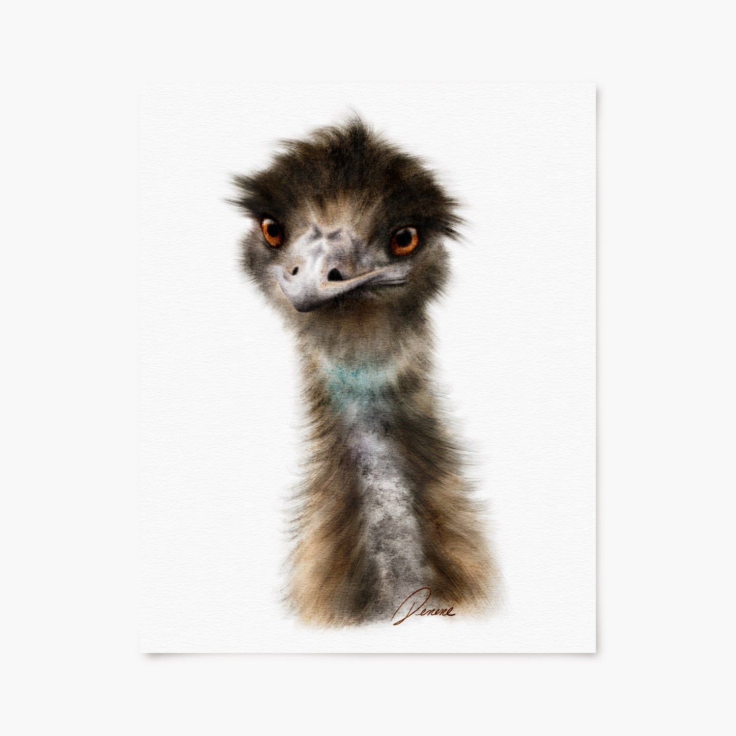 Emu Portrait