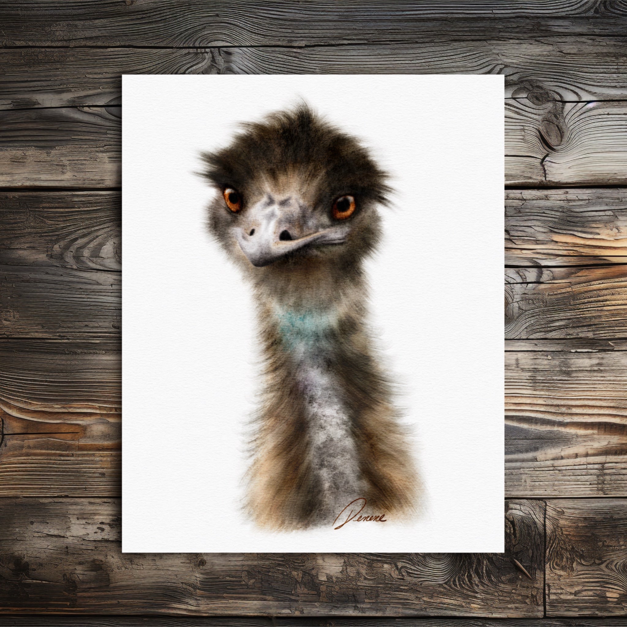 Emu Portrait