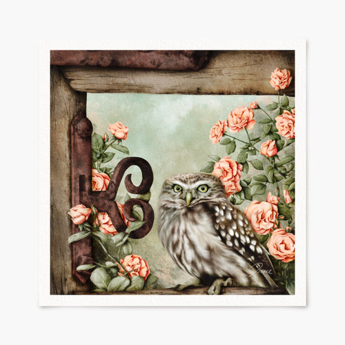 Art print of an owl among roses and a decorative iron latched wood gate. 