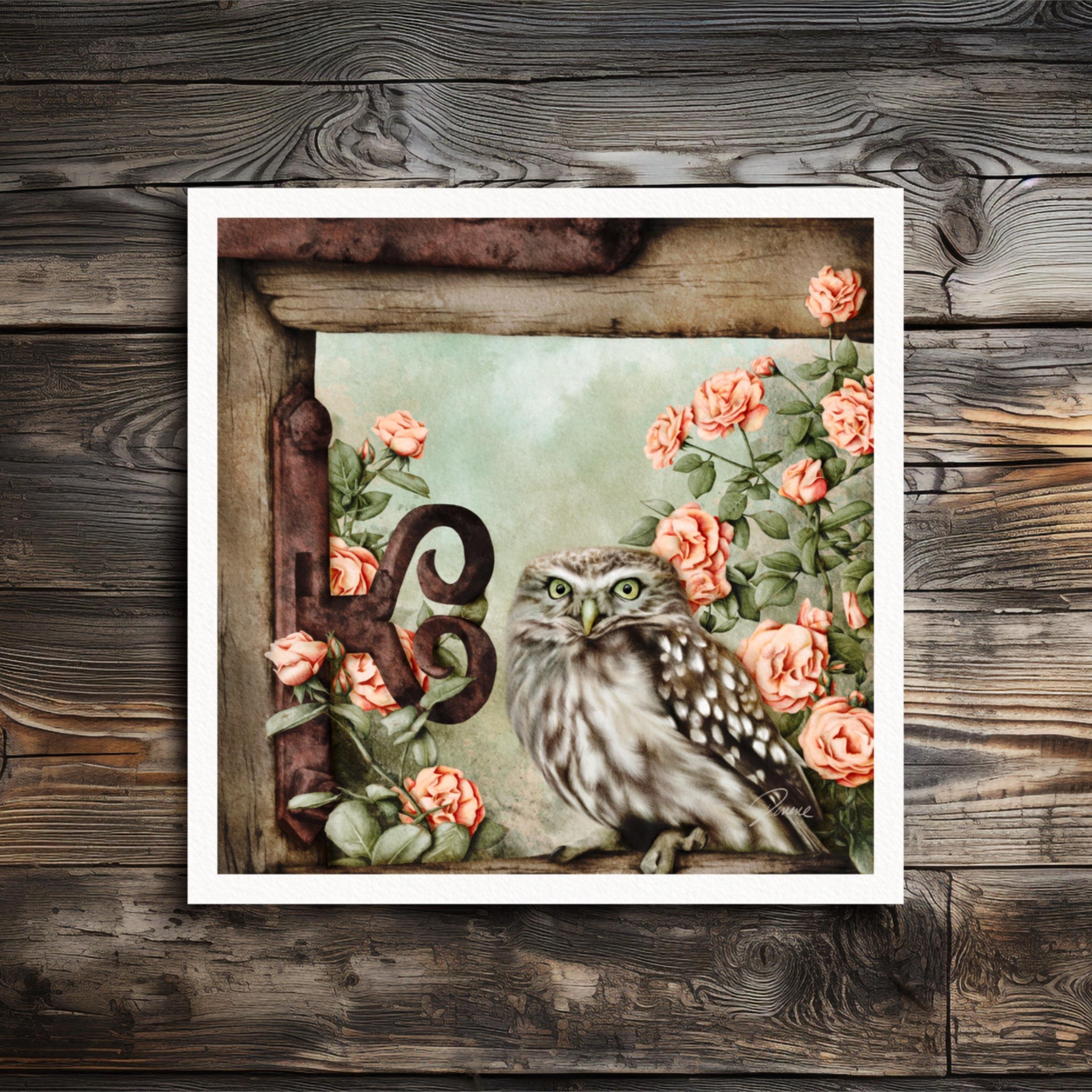 Owl in the Rose Garden