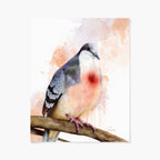 Art print of a bleeding-heart dove