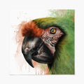 Art print of a military macawt's head with a colorful background