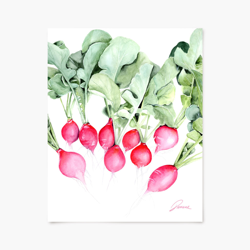 Art print of radishes with green leaves on a white background