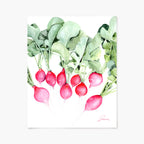 Art print of radishes with green leaves on a white background