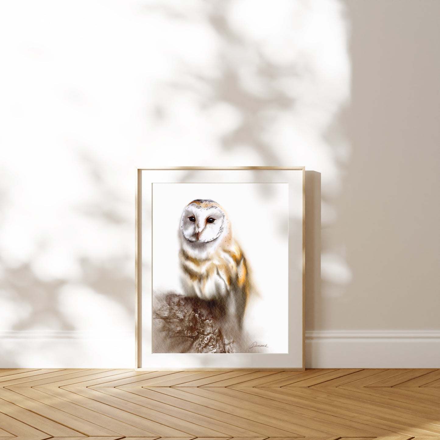 Barn Owl