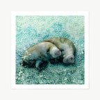 Two manatees on a mosaic green surface
