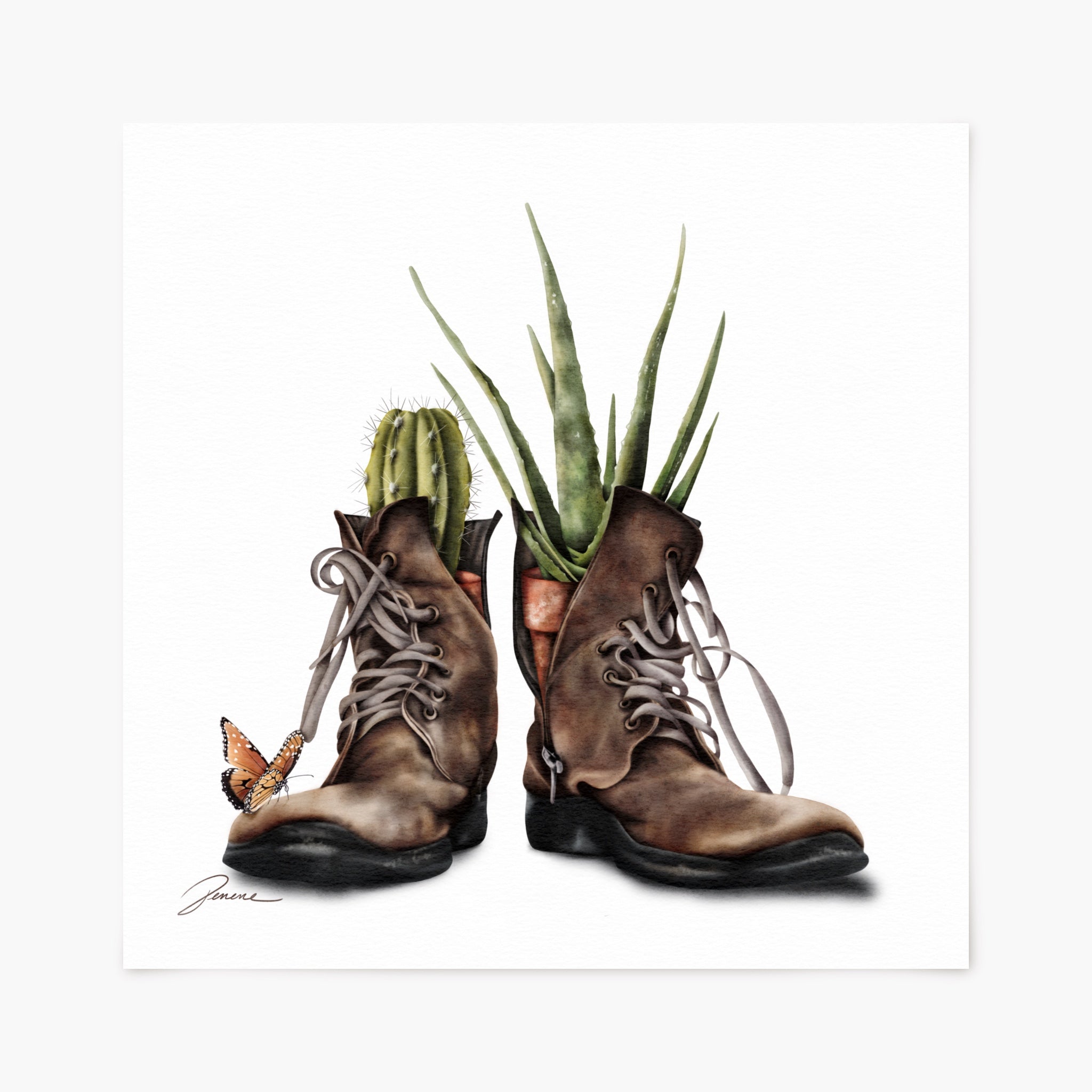 Old boots with cactus plants inside on a white background with a butterfly.