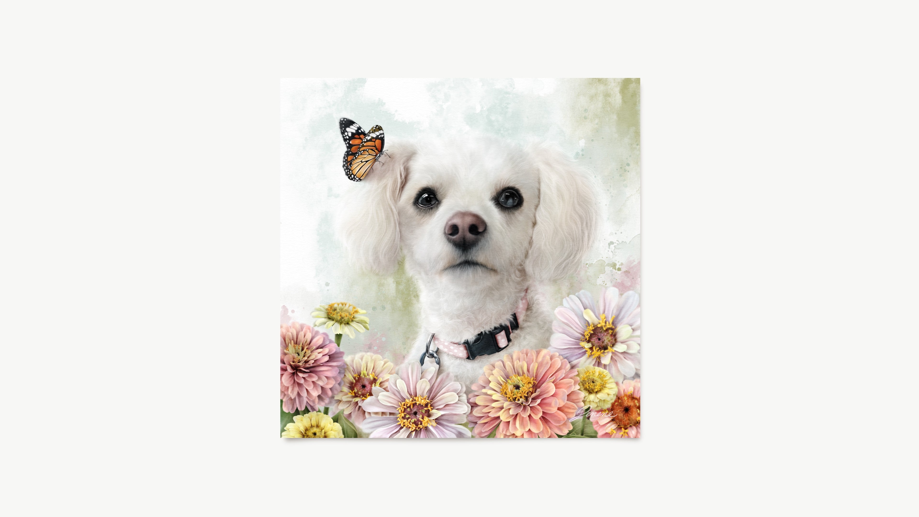 Custom pet portrait. White dog with a butterfly on its head surrounded by flowers