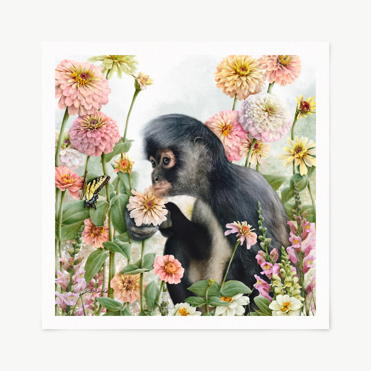A square art print featuring a spider monkey sitting among pink and white flowers, with a butterfly on the left, shown against a light but colorful wash background.