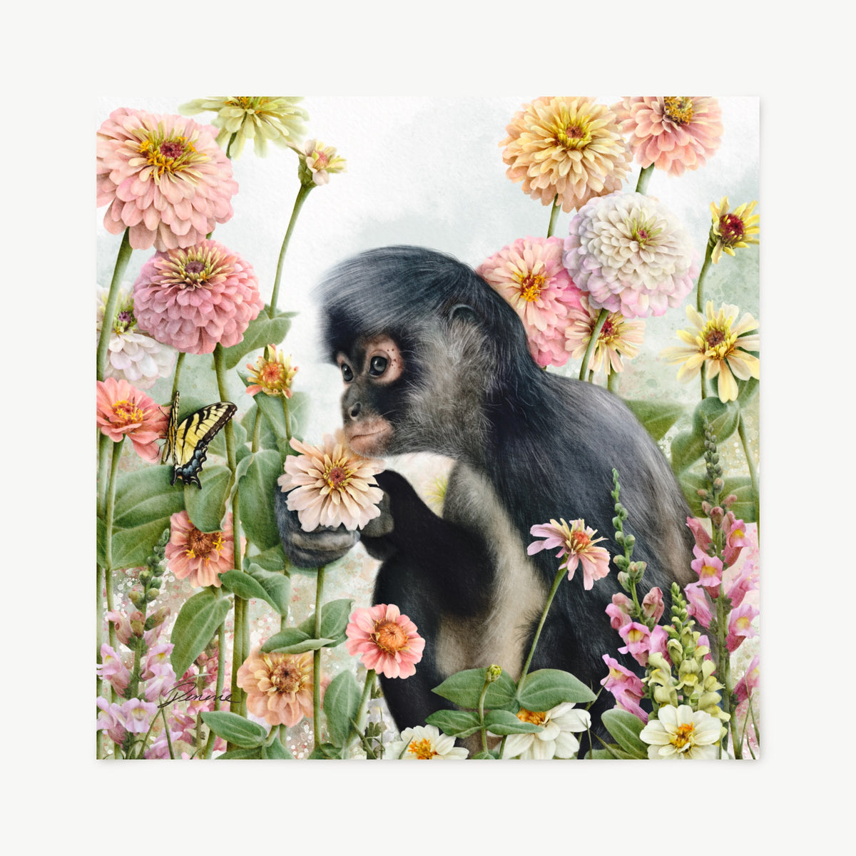 A square art print featuring a spider monkey sitting among pink and white flowers, with a butterfly on the left, shown against a light but colorful wash background.