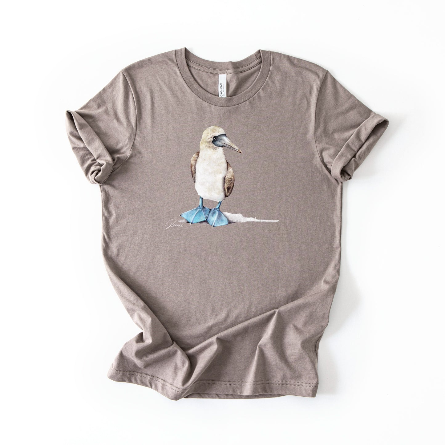Blue-footed Booby (B+C)
