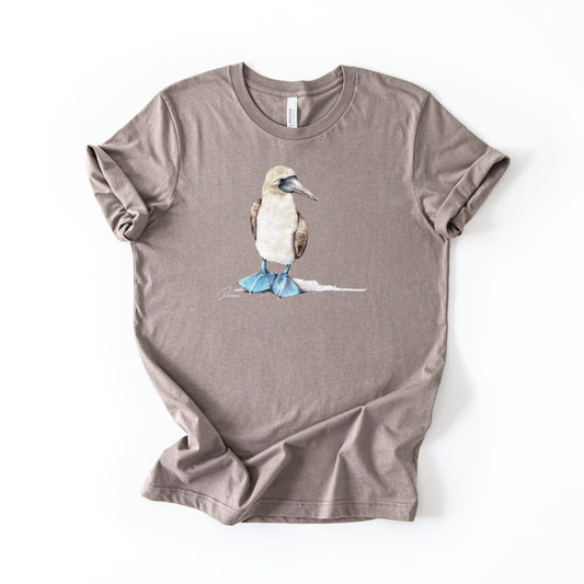 Blue-footed Booby (B+C)