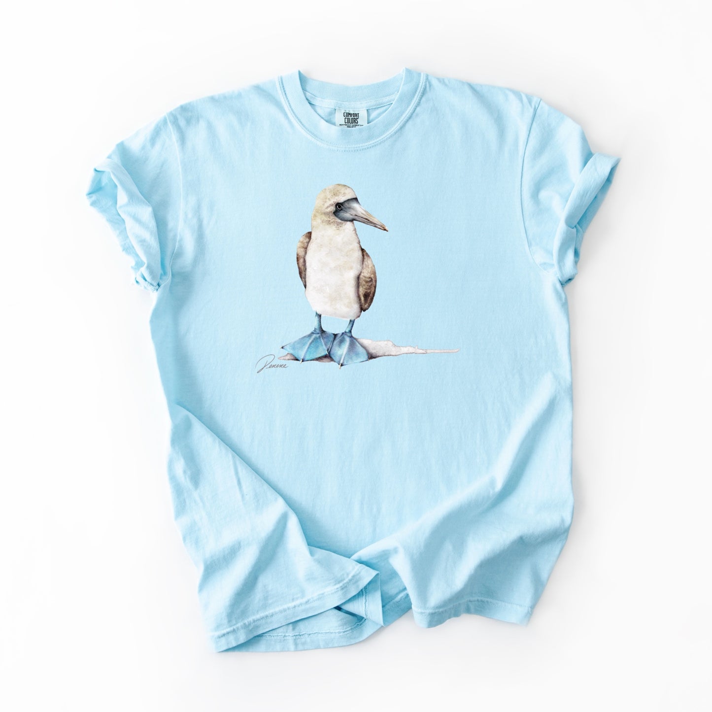 Blue-footed Booby (CC)
