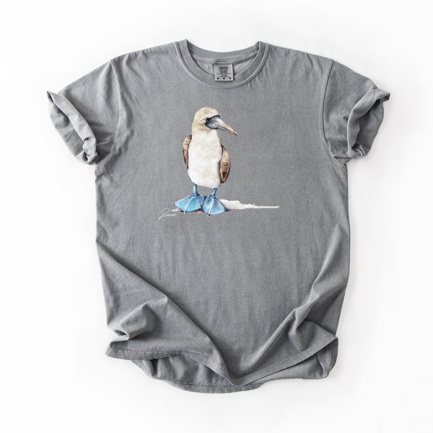 Blue-footed Booby (CC)