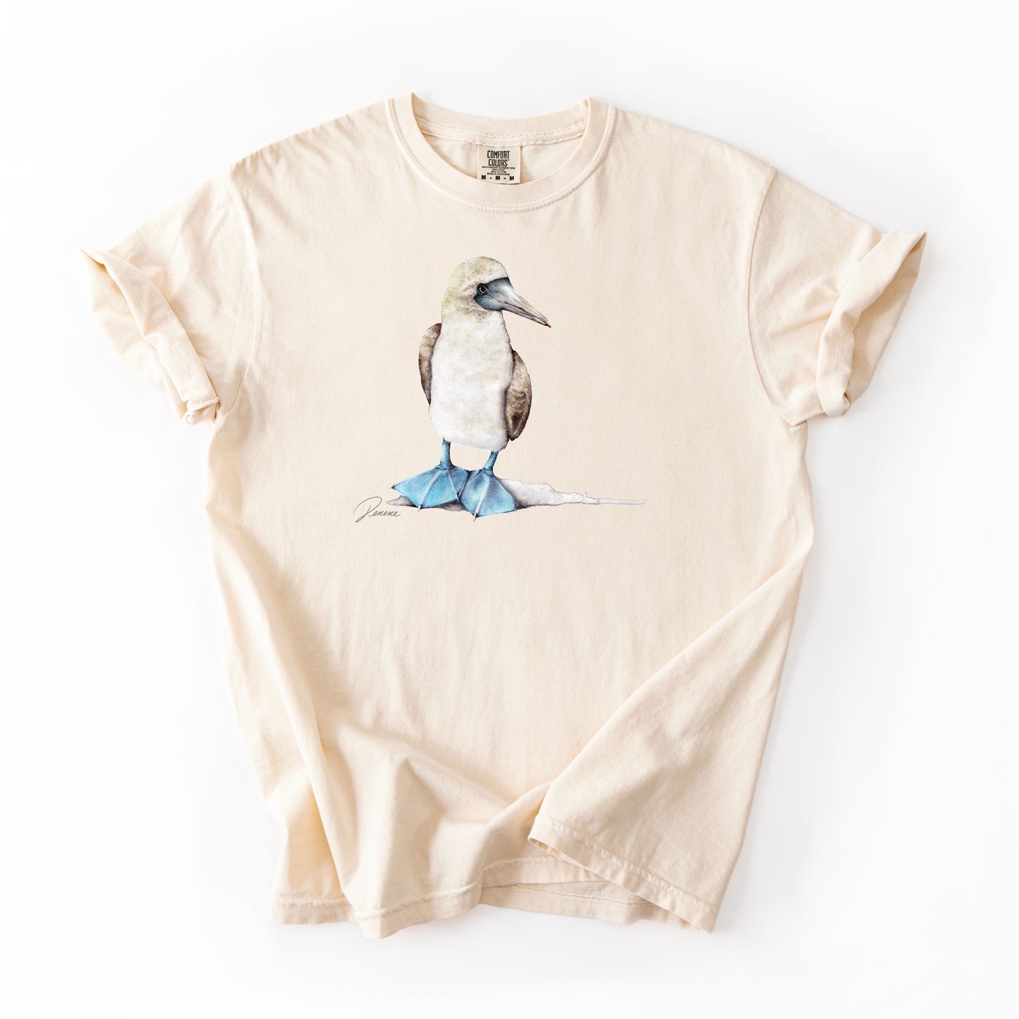 Blue-footed Booby (CC)