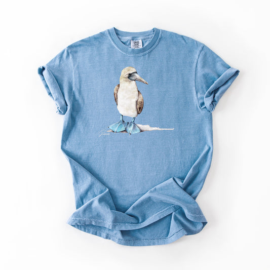 Blue-footed Booby (CC)
