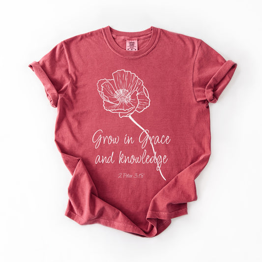 Grow in Grace and Knowledge (CC)