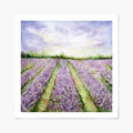 art print watercolor painting of a lavender field with a blue sky.