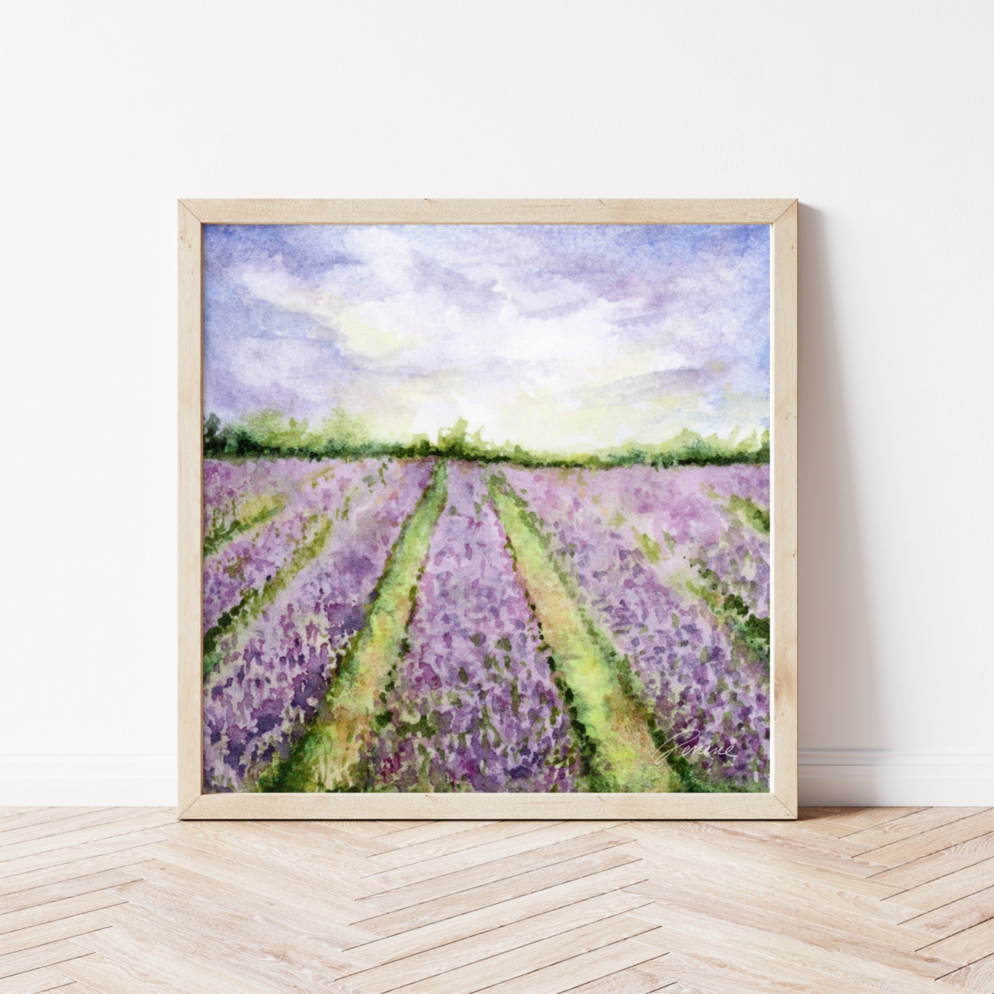 Lavender Field