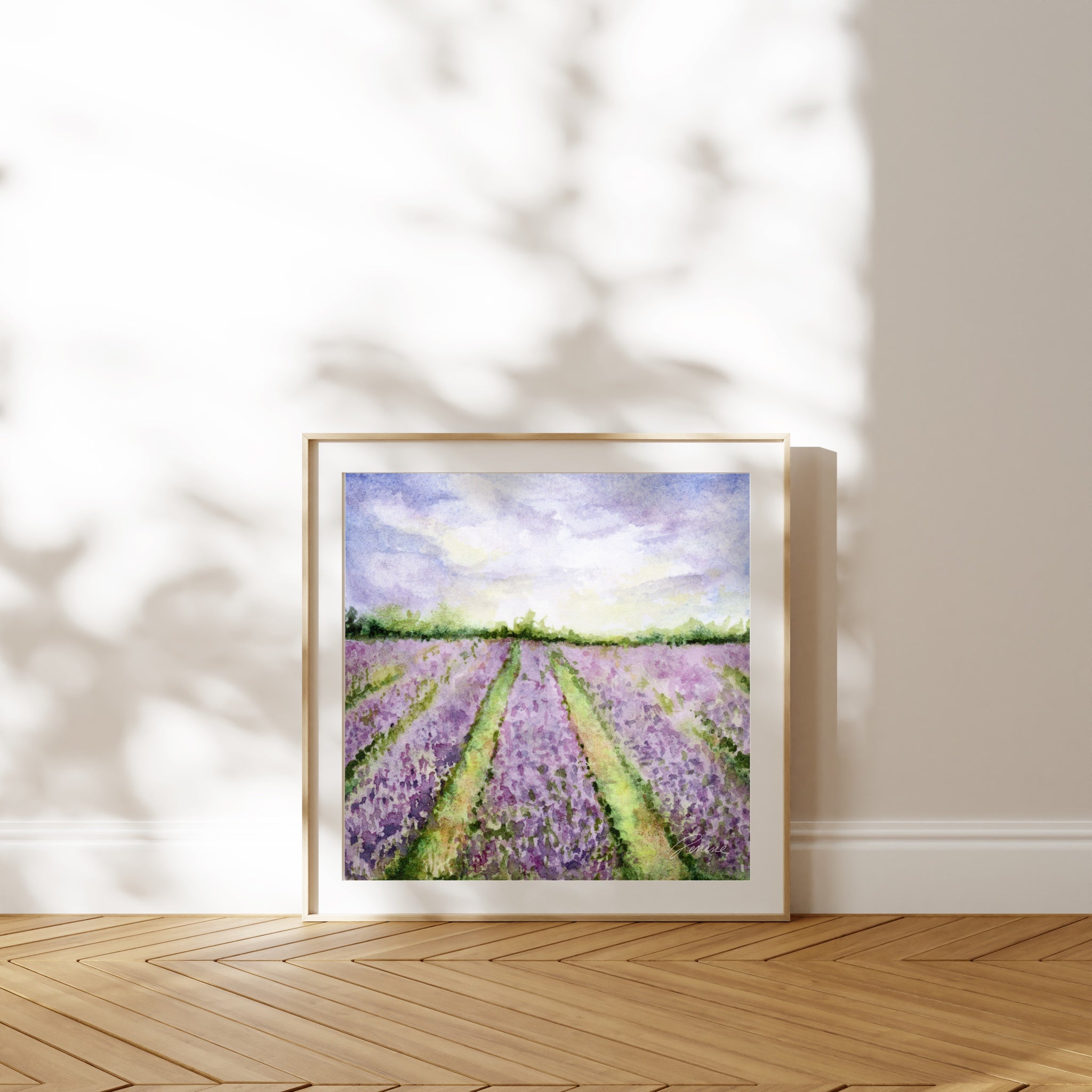 Lavender Field