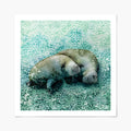 art print of manatee in water