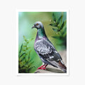 Art print of a pigeon with green leaves in the background