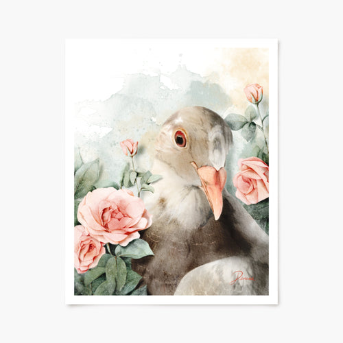 Art print of a pigeon surrounded by pink roses. 