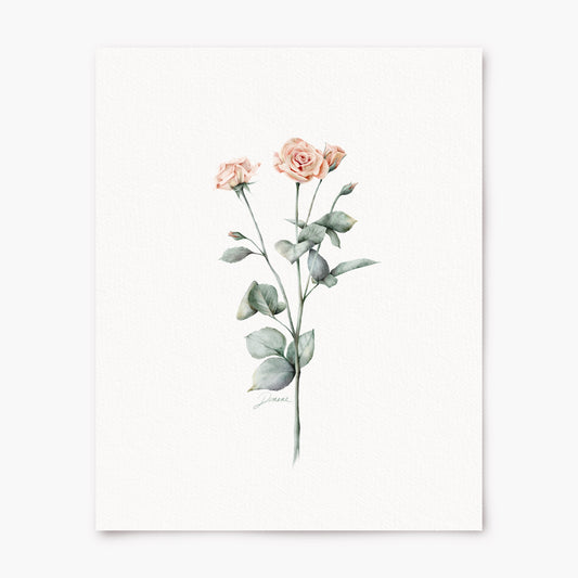 Roses