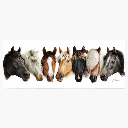 Art print featuring seven horses of different colors side by side on a white background. Portrait style, featuring the heads only of each horse. 