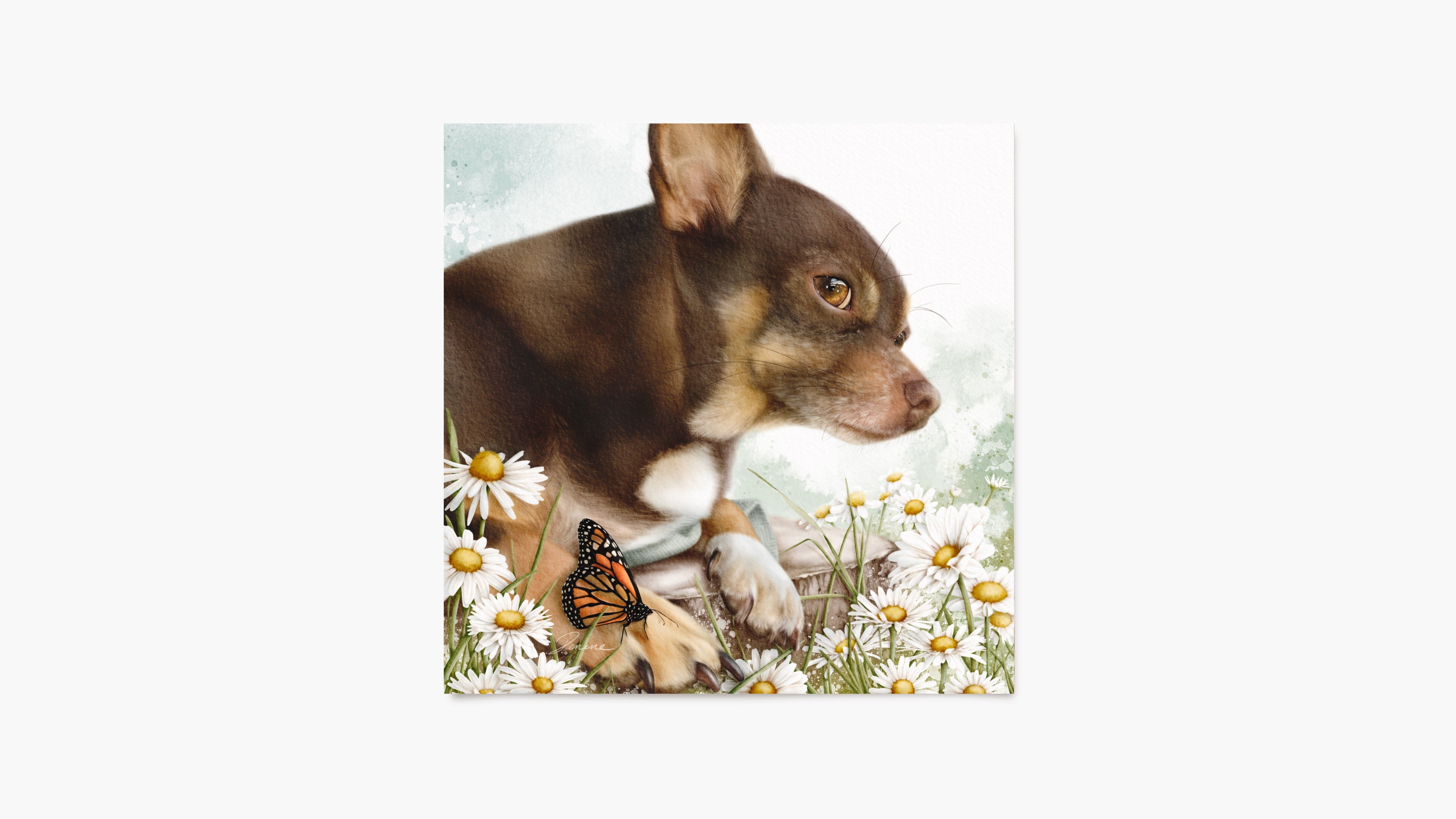 custom pet portrait