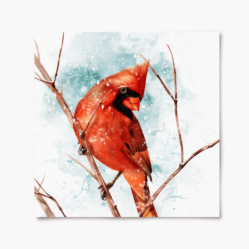 A print of a red cardinal perched on a branch with a snowy background.
