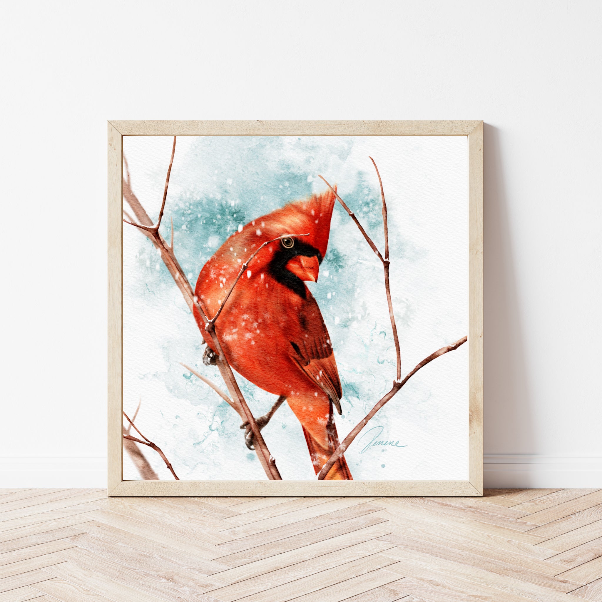 Winter Cardinal
