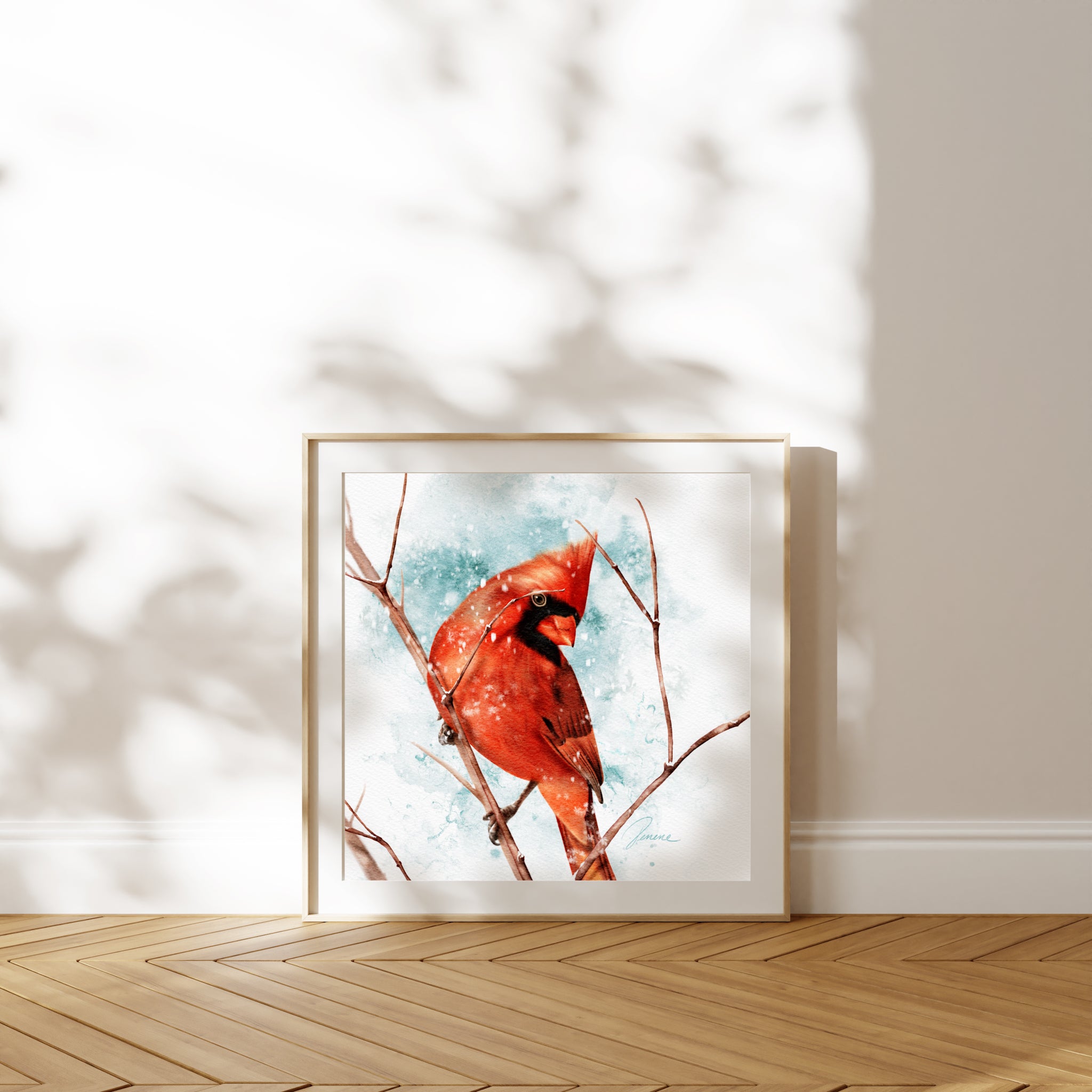Winter Cardinal